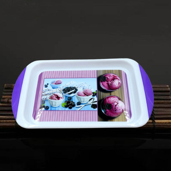 Small Plastic Tray for Kitchen and General Purpose - dailyneed.life