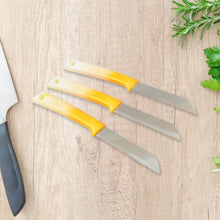 Kitchen Knife with Stainless Steel Blade (1 Pc) - dailyneed.life