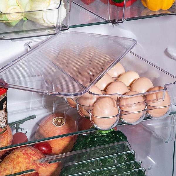 Plastic 18 Cavity Egg Storage Box Or Egg Trays For Refrigerator With Lid & Handles High Quality, Rectangular Egg Tray Box For 18 Egg (1 Pc) - dailyneed.life