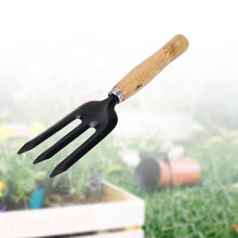 Hand Weeding Fork (Steel, Black) - dailyneed.life