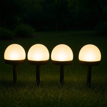 Dome Solar Garden Light Set (4 Pc) - dailyneed.life