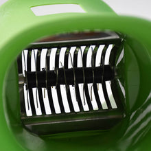 Apex Ovel Manual Chilly & Dry Fruit Cutter Grinder - dailyneed.life