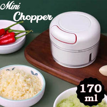 Mini Garlic Chopper Mixer, Portable Cordless Grinder - dailyneed.life