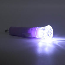 Mini LED Flashlight Keychain Torch (Mix Color & 1 Pc) - dailyneed.life