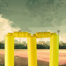 Big Cricket Kit, Cricket Set with 1 Cricket Bat, 1 Rubber Ball, Bails, 3 Stumps with Stand Base - dailyneed.life