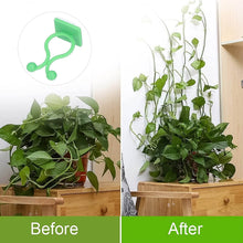 Plant Climbing Wall Fixture Clip Self-Adhesive Hook (100 Pcs Set) - dailyneed.life