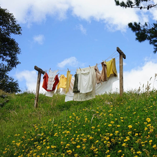 Cloth Drying Wire High Quality Agriculture & Gardening Use Wire ( 25Mtr ) - dailyneed.life