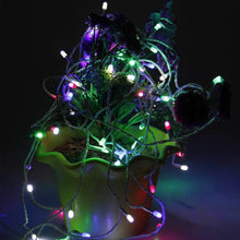 Hanging Lights for home decoration - dailyneed.life