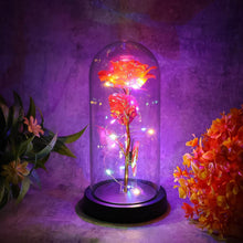 Elegant LED Eternal Rose in Plastic Dome (1 Pc / Battery Not included) - dailyneed.life