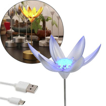 Lotus Flower Lamp with Music, Touch Open and Close, USB Rechargeable (1 Pc / Only One Color) - dailyneed.life