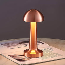 LED Lamp with Touch Control | Decorative Desk Lamp, Portable Metal LED Table Lamp - dailyneed.life