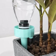 Auto Plant Watering Devices (4 Pcs Set) - dailyneed.life