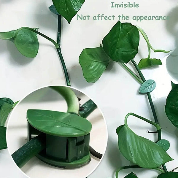Plant Climbing Wall Clip, Self-Adhesive Vines Support Hooks for Indoor Outdoor Use (10 Pcs Set) - dailyneed.life
