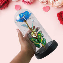 LED-Powered Eternal Rose in plastic Dome (1 Pc / Battery not Included) - dailyneed.life