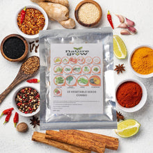 15 Varieties of Vegetable Seeds Combo (1 Pkt. / 15 Varieties) - dailyneed.life