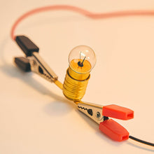 DIY Educational Science Kit - dailyneed.life