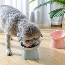 Plastic Multipurpose Bowl, Food Bowls (1 Pc) - dailyneed.life