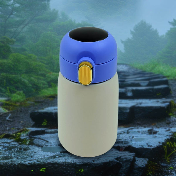 Smart Vacuum Insulated Water Bottle with LED Temperature Display (300 ML Approx) - dailyneed.life