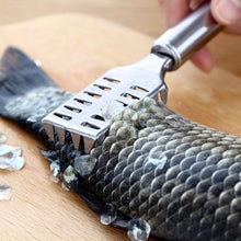 Stainless Steel Fish Scale Remover Scraper – Sawtooth Kitchen Tool - dailyneed.life