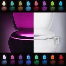 Toilet Light, LED Toilet Bowl Light Toilet Cover Lamp (1 Pc / Battery Not Included) - dailyneed.life