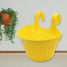 Multicolor Hanging Plastic Planters Orchid Relling , For Plantation, Planters for Balcony and Home Gardening, Indoor, Outdoor (1 Pc ) - dailyneed.life