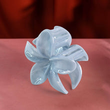 Matte Finish Hair Claw Clip (1 Pc / Mix Color) - dailyneed.life