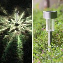 Solar LED Spike Lights for Garden & Pathway Decor (2 Pc Set) - dailyneed.life