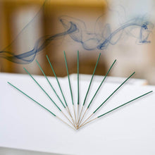 Mosquito Agarbatti Stick Herbal Mosquito Agarbatti 1 Box ( 12 Packet / 120 Sticks ) ( Incense Stick ) - dailyneed.life
