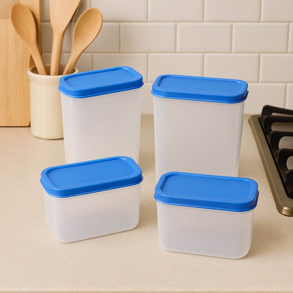 Apex Glory Plastic Storage Container Box Set (4 Pc) - dailyneed.life