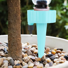 Auto Plant Watering Devices (1 Pc / Mix Color) - dailyneed.life