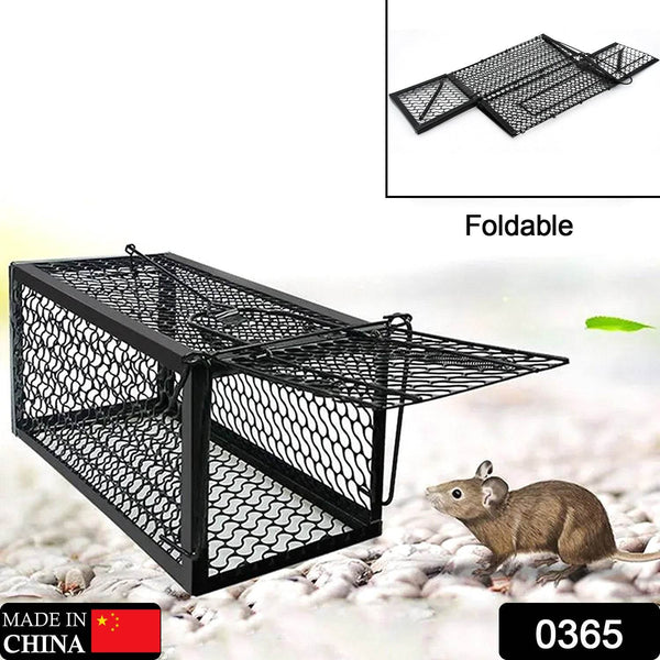 Foldable Live Mouse Trap – Easy Catch & Release Cage for Mice, Squirrels, Voles & Hamsters - dailyneed.life