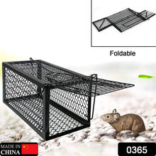 Foldable Live Mouse Trap – Easy Catch & Release Cage for Mice, Squirrels, Voles & Hamsters - dailyneed.life