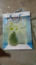 Plastic Transparent Bag With Handle (1 Pc / 34 x 26 Cm) - dailyneed.life