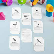 KidKraft Early Learner Educational Flashcards – 32 Birds - dailyneed.life
