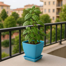 Trendy Square Plastic Flower Pots Set of 5 - dailyneed.life
