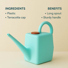 2 Litre Heavy-Duty Plastic Gardening Watering Can with Long Spout & Ergonomic Handle - dailyneed.life