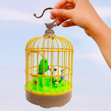 Sound Activated Chirping Bird in Hanging Cage, Beautiful Pinjra Bird Toy (1 Pc / Battery Not Operated) - dailyneed.life