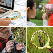 Magnifying Glass Handheld Magnifier (36 MM / 1 Pc) - dailyneed.life