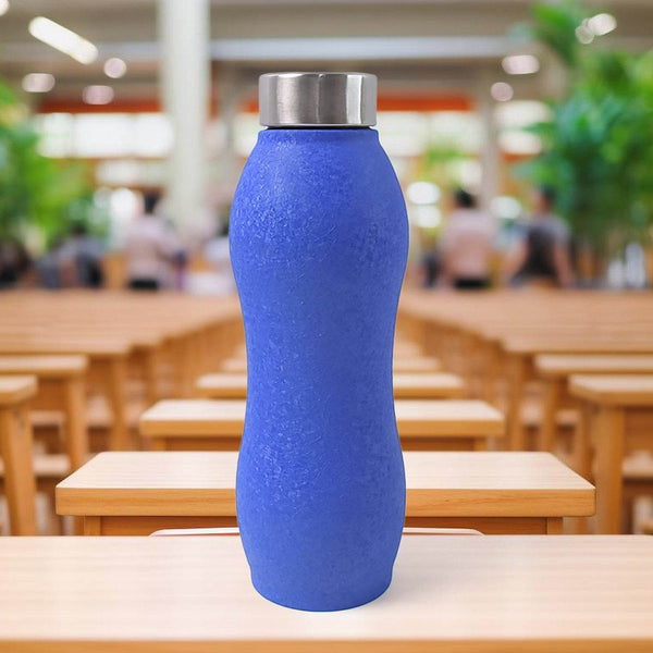 Stainless Steel Water Bottle (1000ML / Mix Colour / 1 Pc / Crocodile) - dailyneed.life