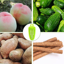 Plastic Fruit & Vegetable Brush (1 Pc) - dailyneed.life