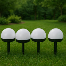 Dome Solar Garden Light Set (4 Pc) - dailyneed.life