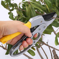 Gardening Shears, Enhanced Garden Shears Pruning Machine (200 MM / 1 Pc) - dailyneed.life