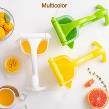 Heavy Duty Juice Press Squeezer with juicers ( 1 pcs ) - dailyneed.life