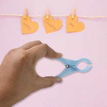 Plastic Cloth Clips (Multicolour) - Pack of 12 - dailyneed.life