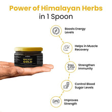 Himalayan Shilajit Gold Resin – 20g | Helps improve Stamina | Contains Gold - dailyneed.life