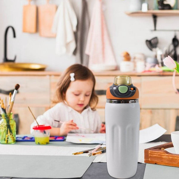 Stainless Steel Water Bottle (600 ML / Approx) - dailyneed.life