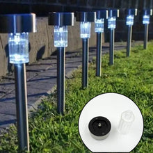 Solar LED Spike Lights for Garden & Pathway Decor (2 Pc Set) - dailyneed.life