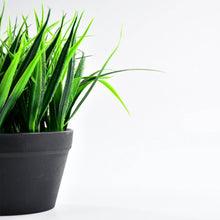 Artificial Potted Plant with Pot - dailyneed.life