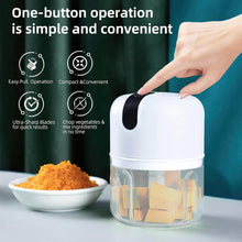 Wireless USB Rechargeable Mini Electric Garlic Machine / Chopper 3 Blades (250Ml) - dailyneed.life