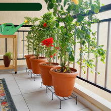 Metal Rectangle Flower plant stand for balcony (60×20 Cm / 2 Pc Set) - dailyneed.life